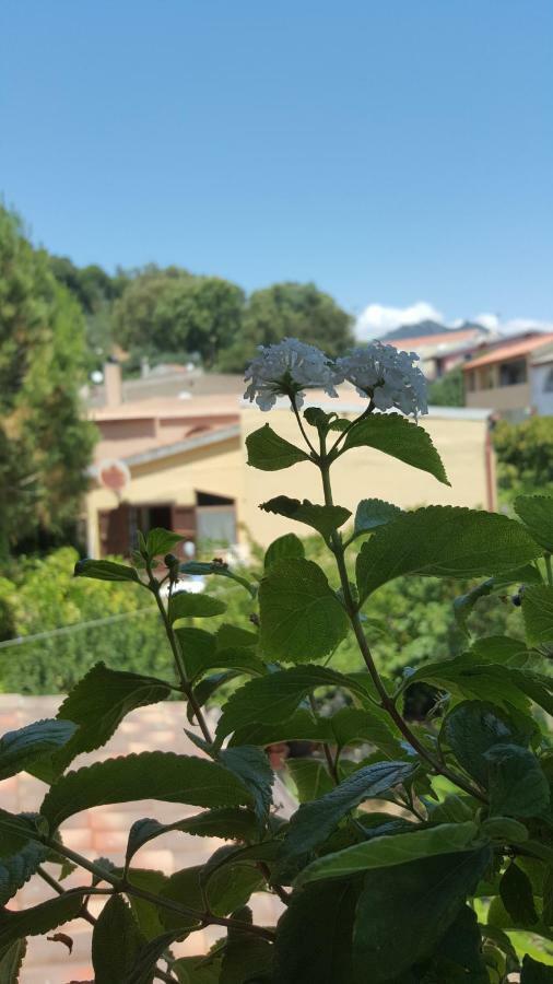 Il Girasole Domus De Maria Exterior foto